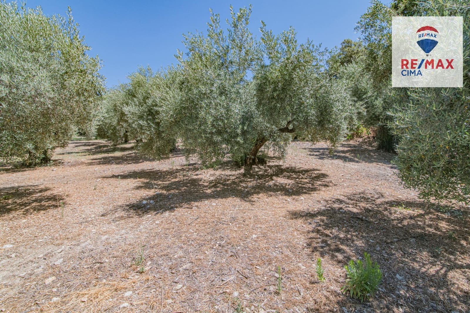 Terreno Non Edificato in vendita in La Iruela - 900.000 € (Rif: 8574371)