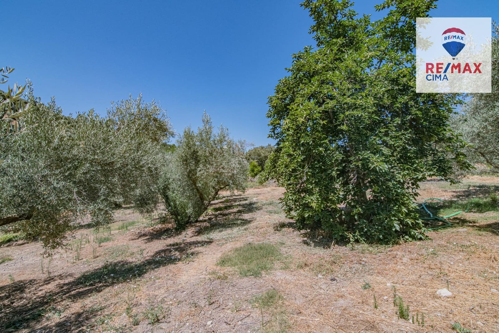 Terreno Non Edificato in vendita in La Iruela - 900.000 € (Rif: 8574371)