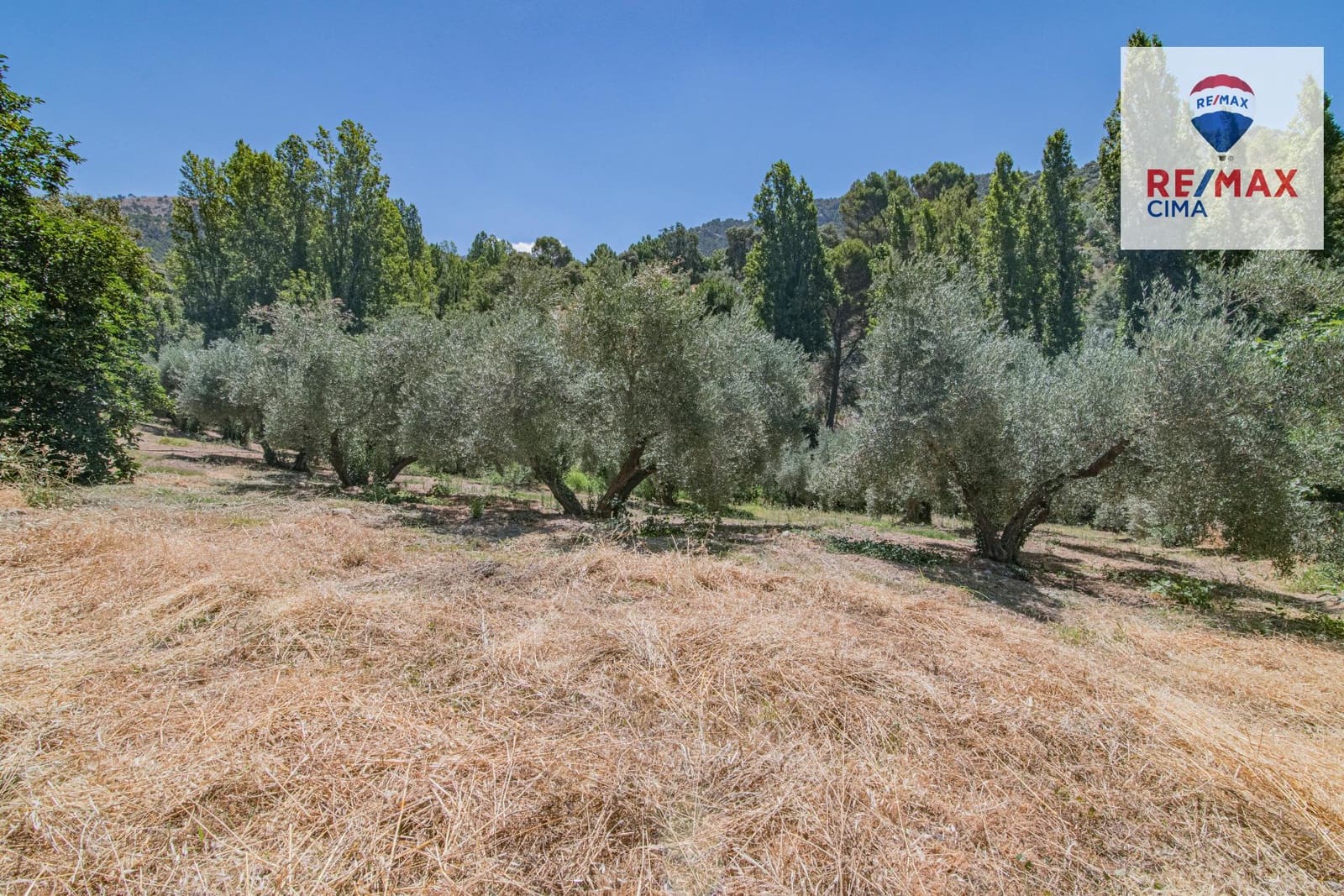 Terreno Non Edificato in vendita in La Iruela - 900.000 € (Rif: 8574371)