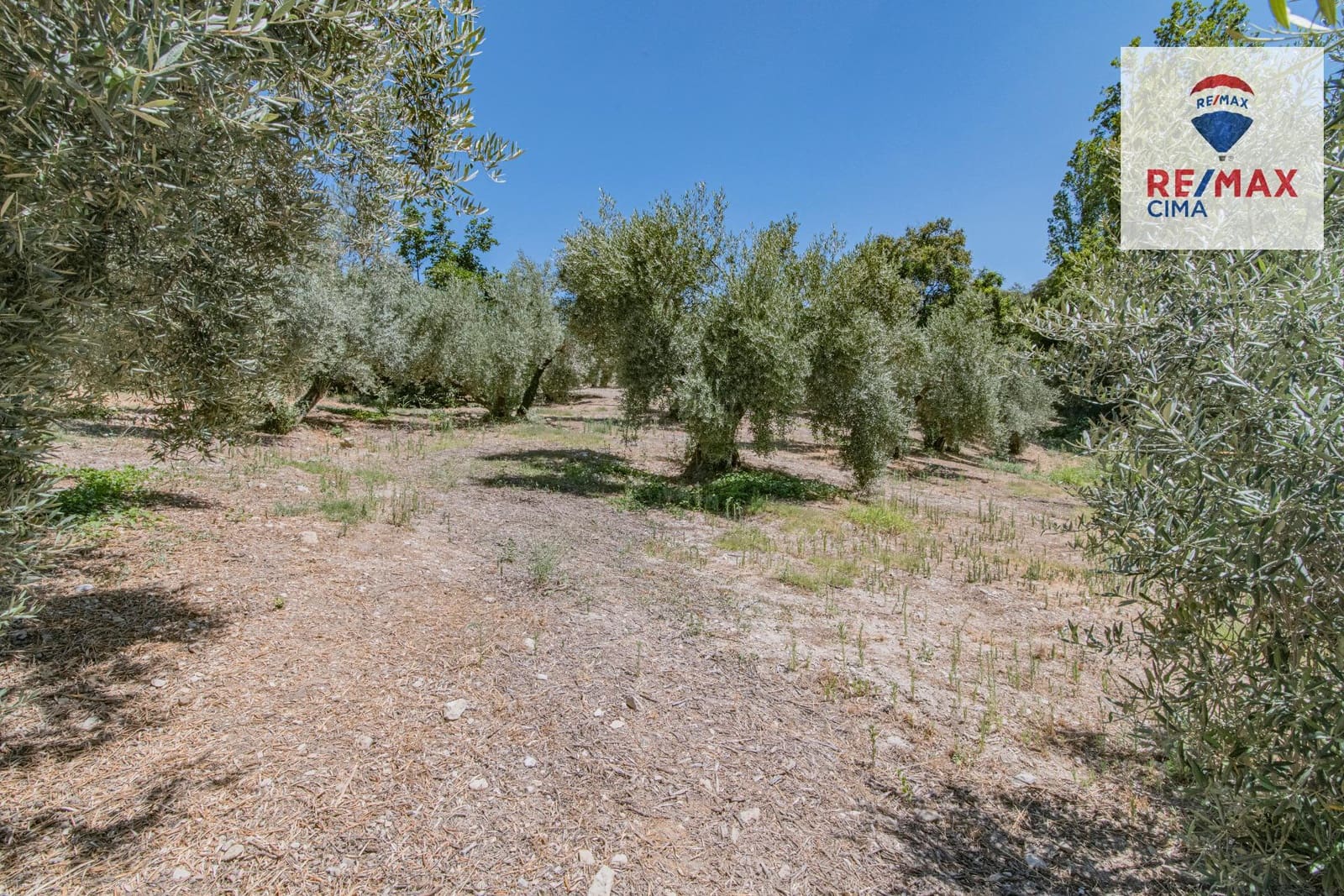 Terreno Non Edificato in vendita in La Iruela - 900.000 € (Rif: 8574371)