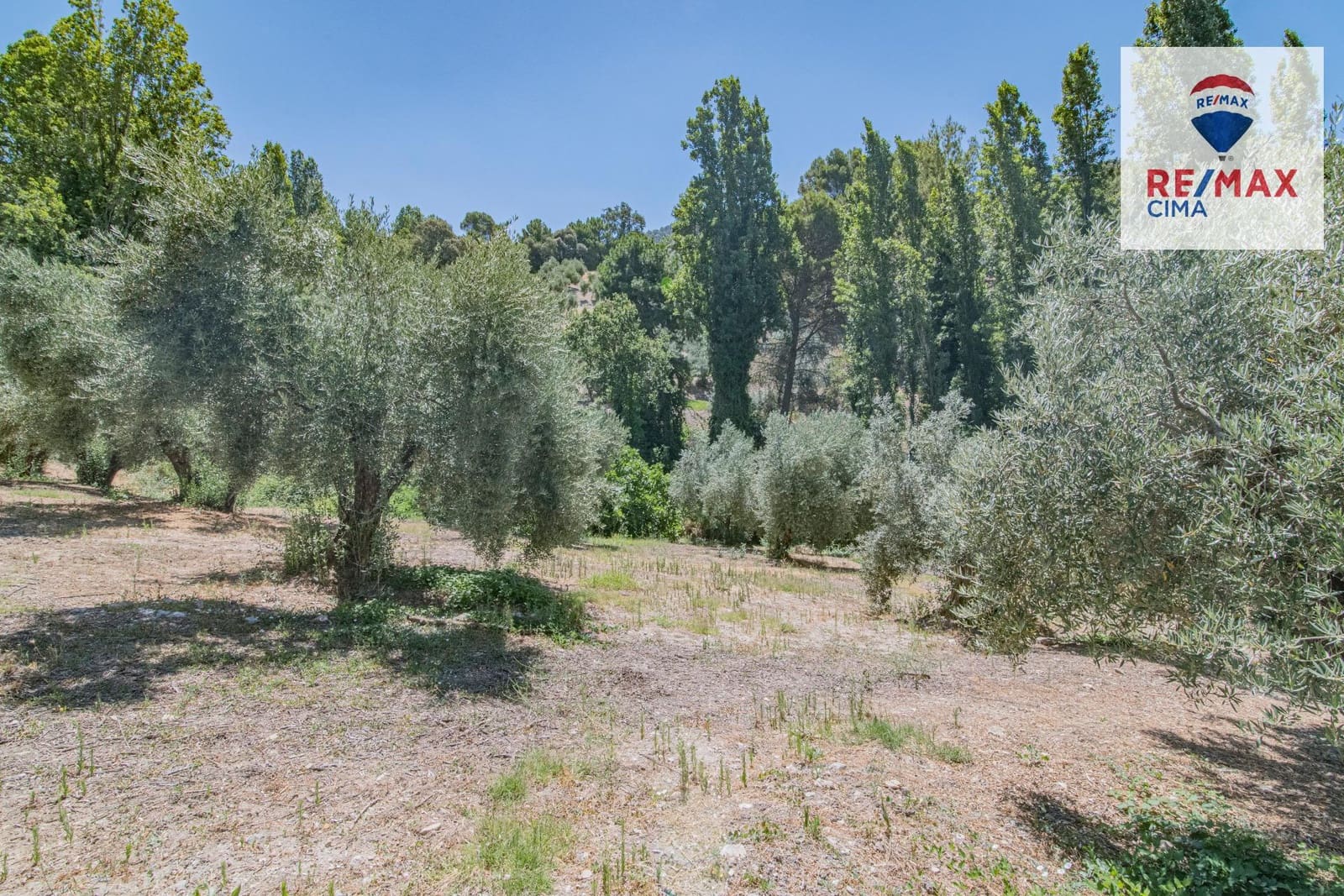 Terreno Non Edificato in vendita in La Iruela - 900.000 € (Rif: 8574371)