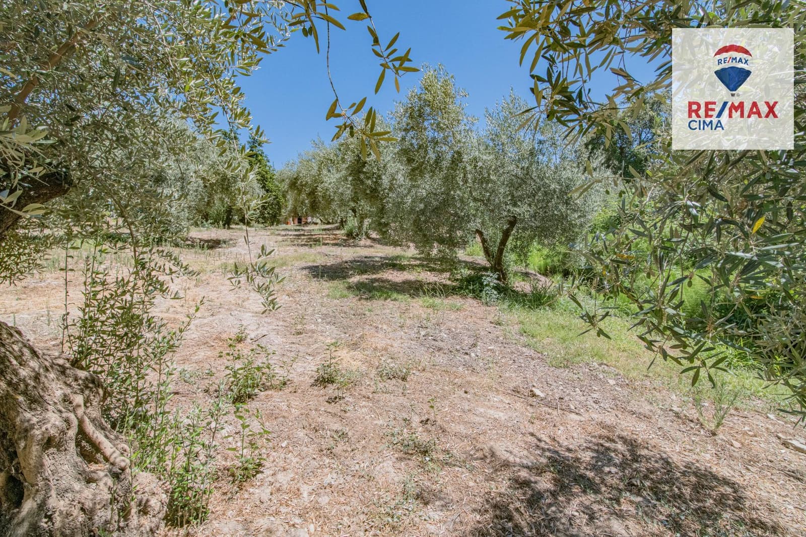 Terreno Non Edificato in vendita in La Iruela - 900.000 € (Rif: 8574371)