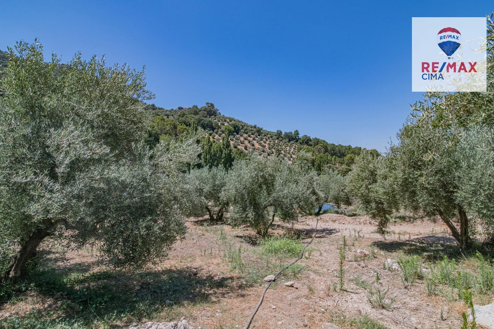 Terreno Non Edificato in vendita in La Iruela - 900.000 € (Rif: 8574371)