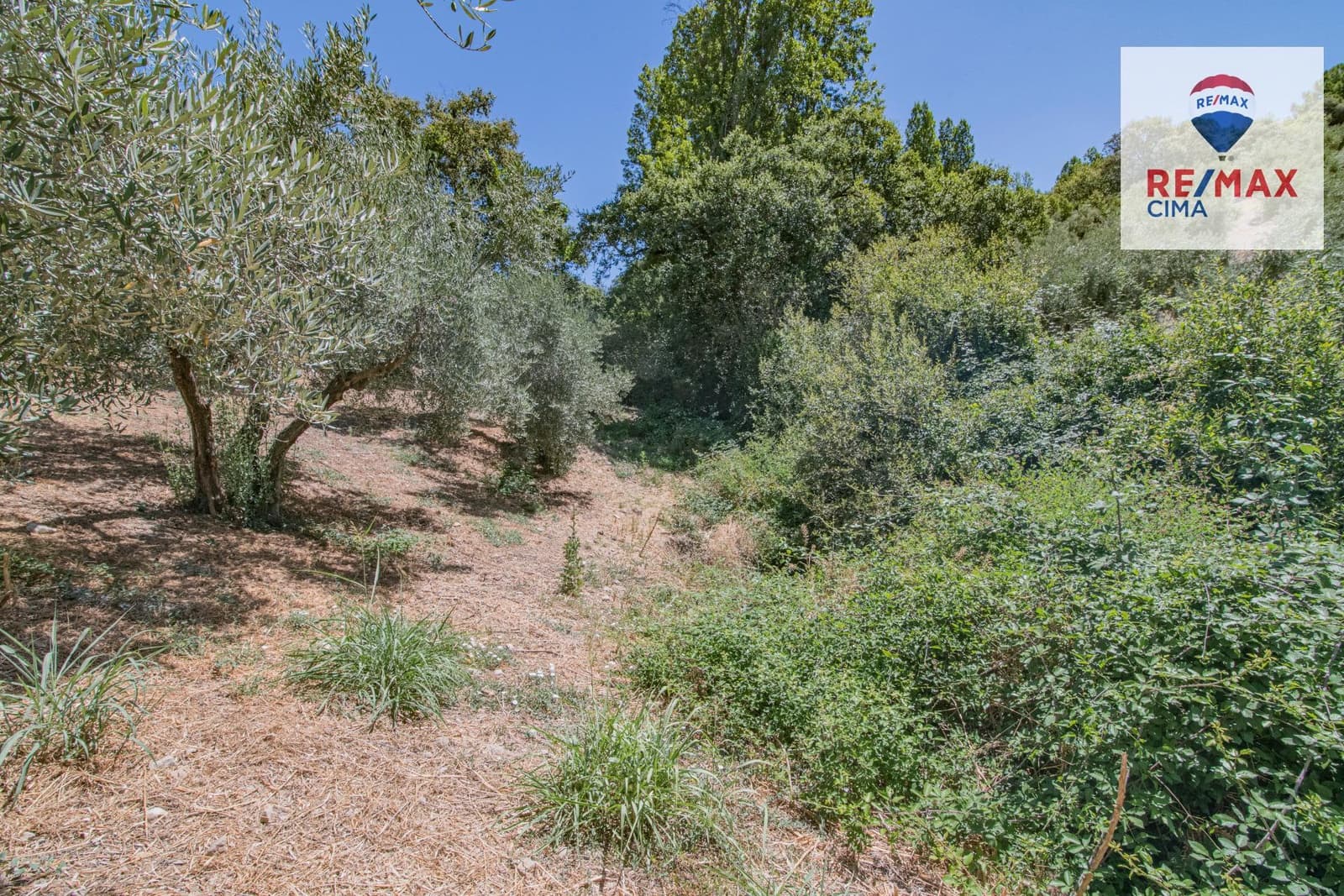 Terreno Non Edificato in vendita in La Iruela - 900.000 € (Rif: 8574371)