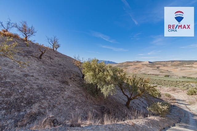 Terreno Não Urbanizado para venda em Alhama de Granada - 69 000 € (Ref: 8578155)