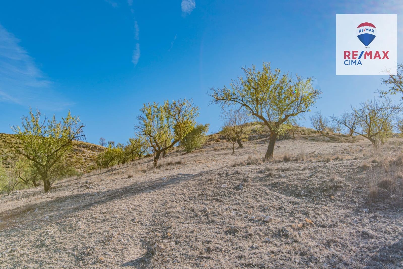 Terreno Não Urbanizado para venda em Alhama de Granada - 69 000 € (Ref: 8578155)