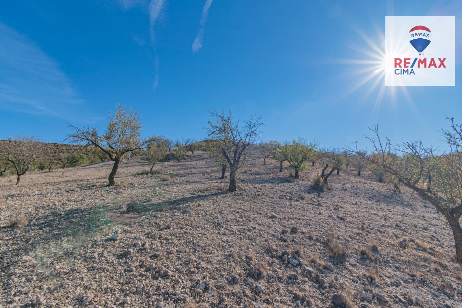 Undeveloped Land for sale in Alhama de Granada - € 69,000 (Ref: 8578155)