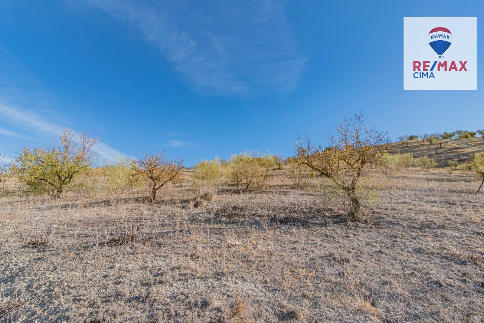 Undeveloped Land for sale in Alhama de Granada - € 69,000 (Ref: 8578155)