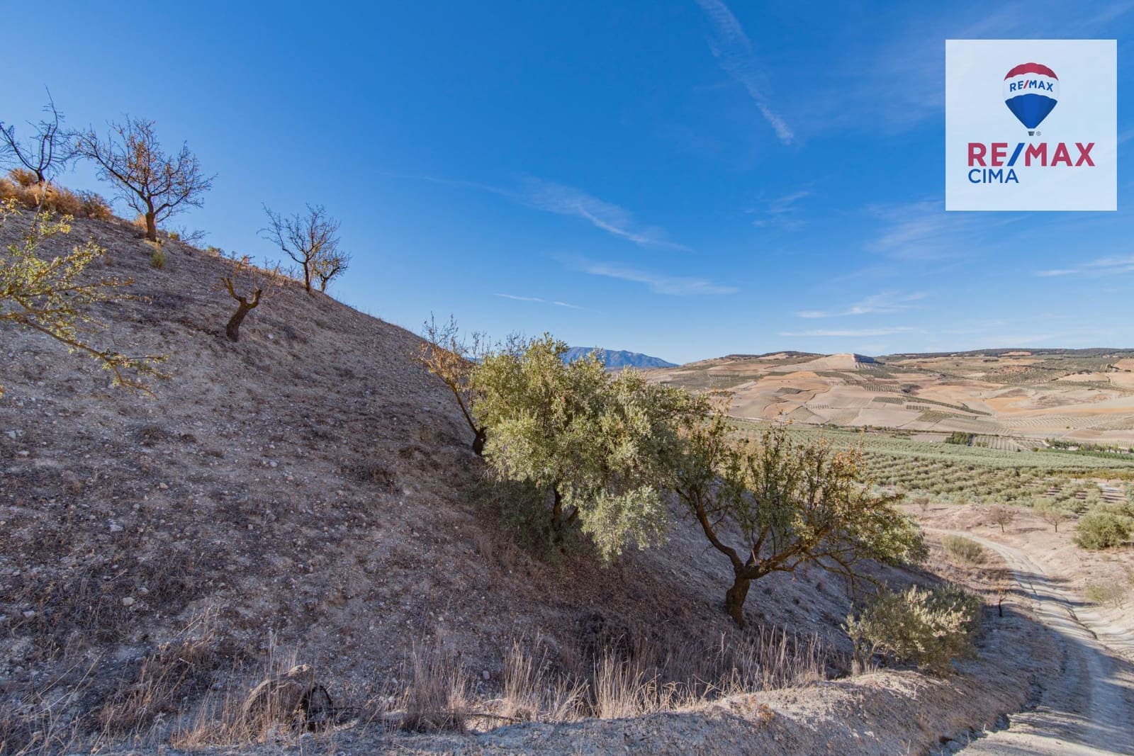 Undeveloped Land for sale in Alhama de Granada - € 69,000 (Ref: 8578155)