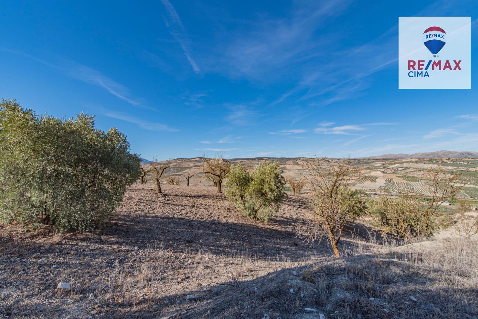 Undeveloped Land for sale in Alhama de Granada - € 69,000 (Ref: 8578155)