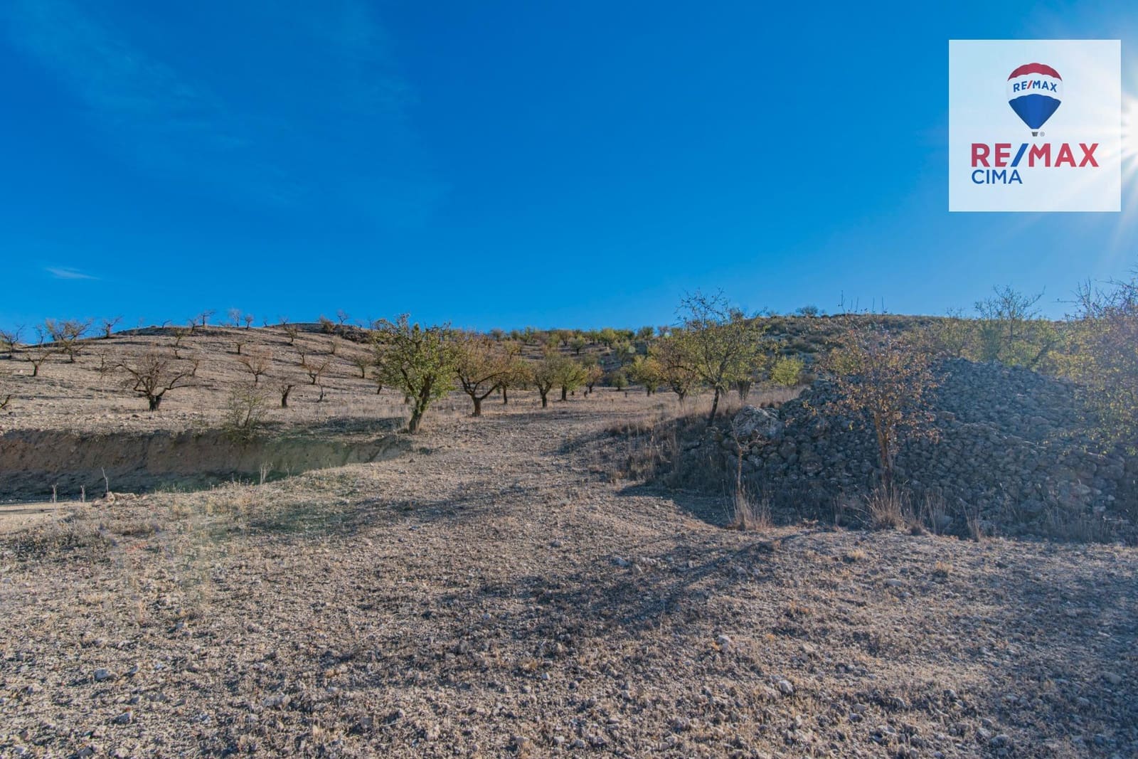 Undeveloped Land for sale in Alhama de Granada - € 69,000 (Ref: 8578155)