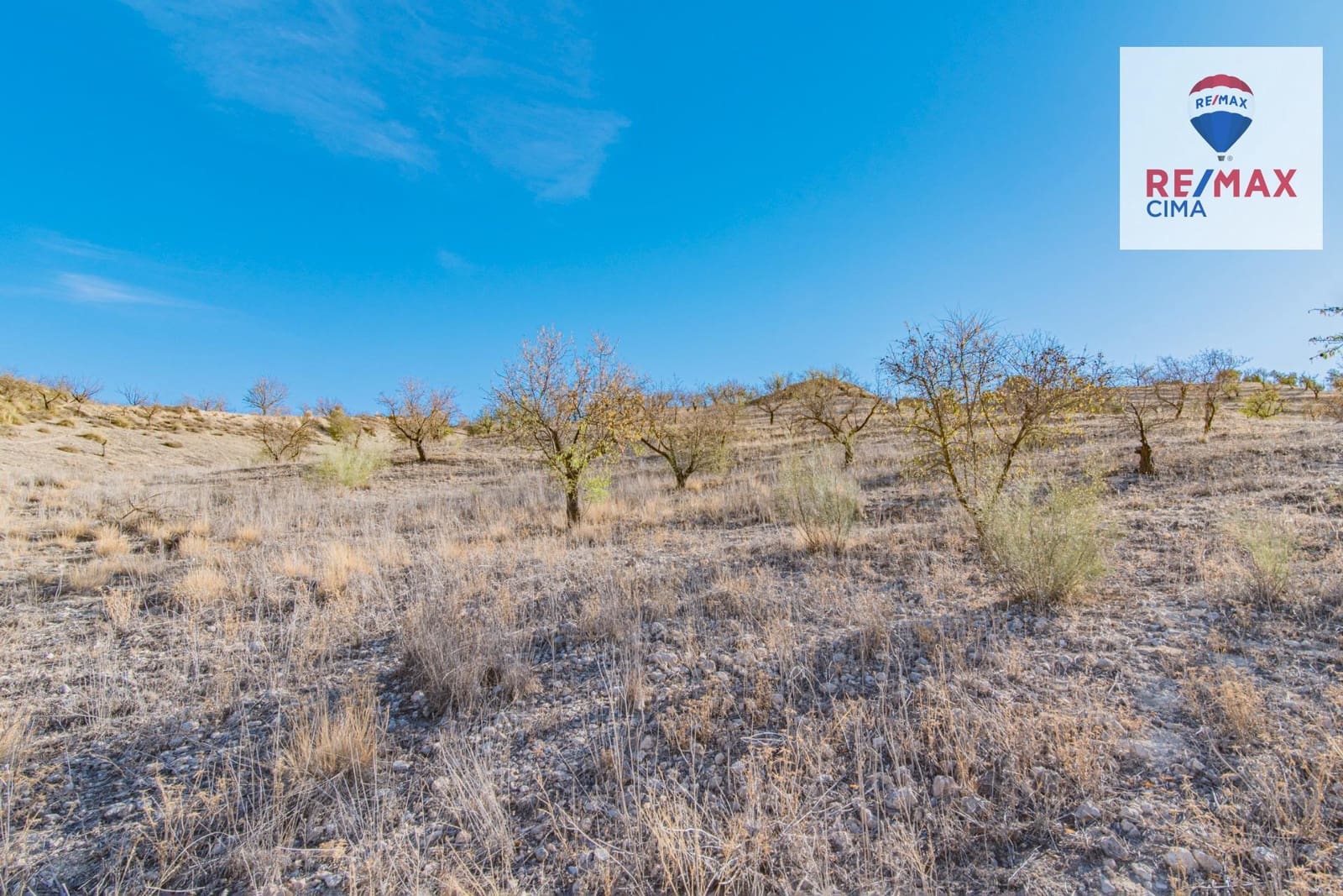Undeveloped Land for sale in Alhama de Granada - € 69,000 (Ref: 8578155)