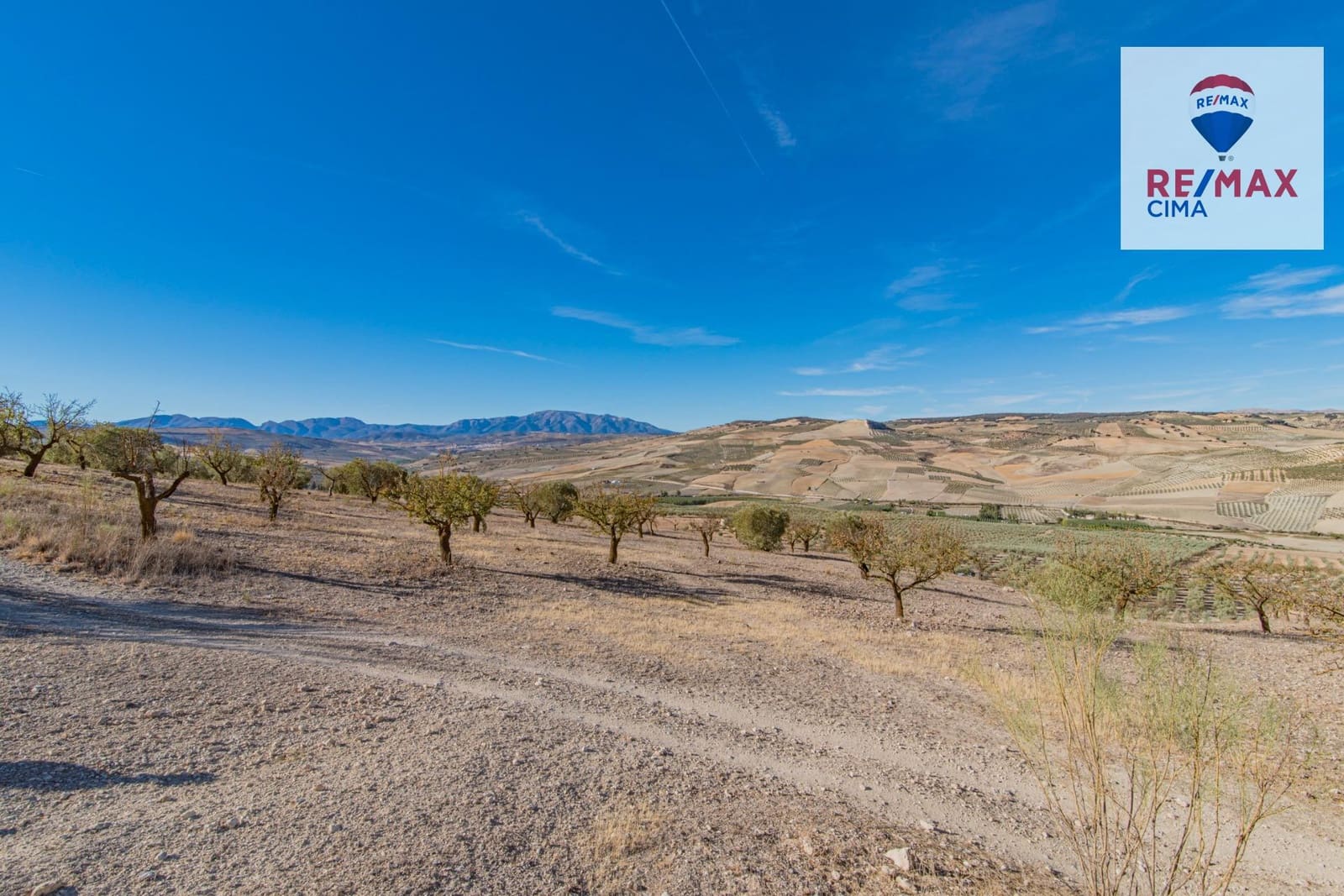 Undeveloped Land for sale in Alhama de Granada - € 69,000 (Ref: 8578155)