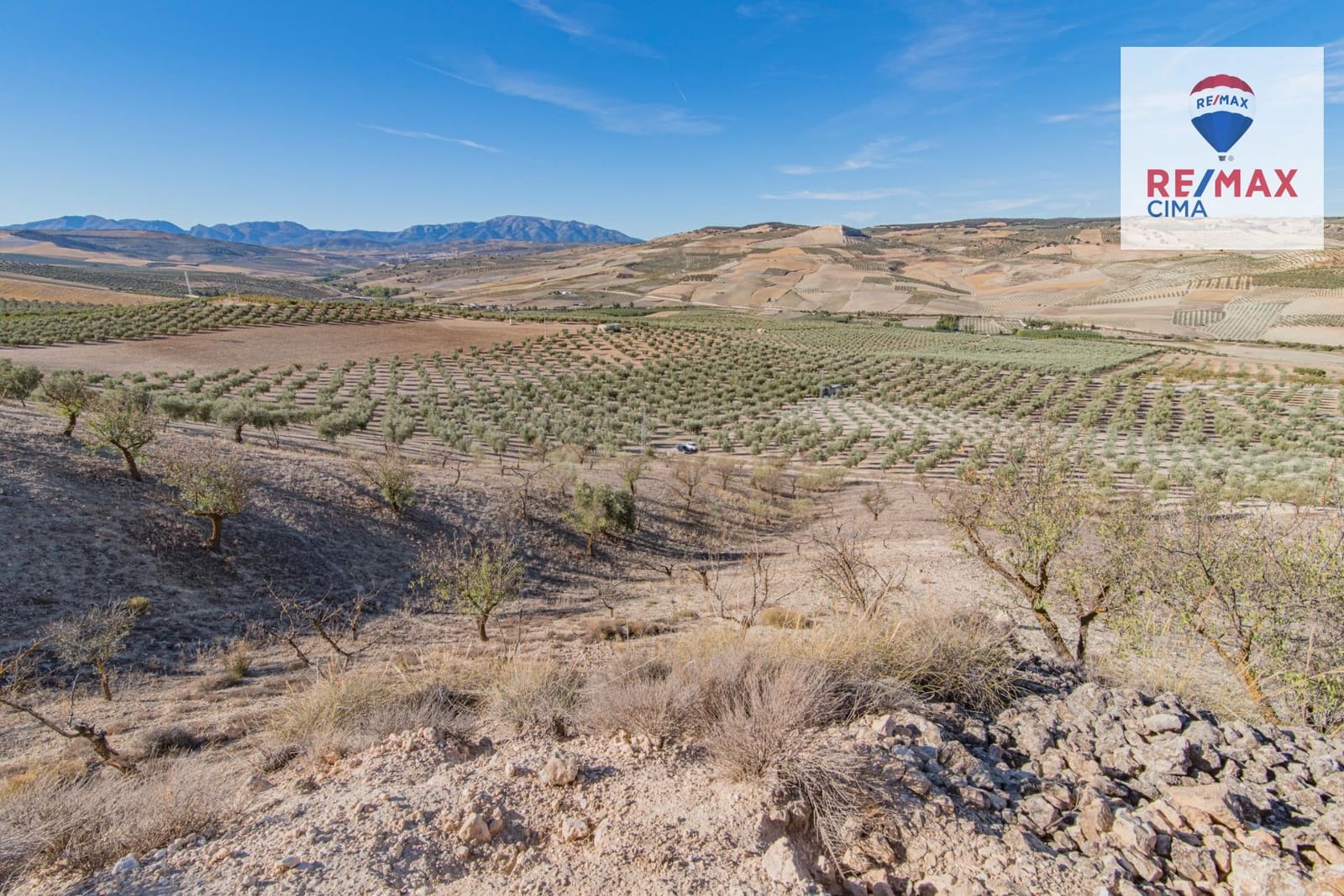 Undeveloped Land for sale in Alhama de Granada - € 69,000 (Ref: 8578155)
