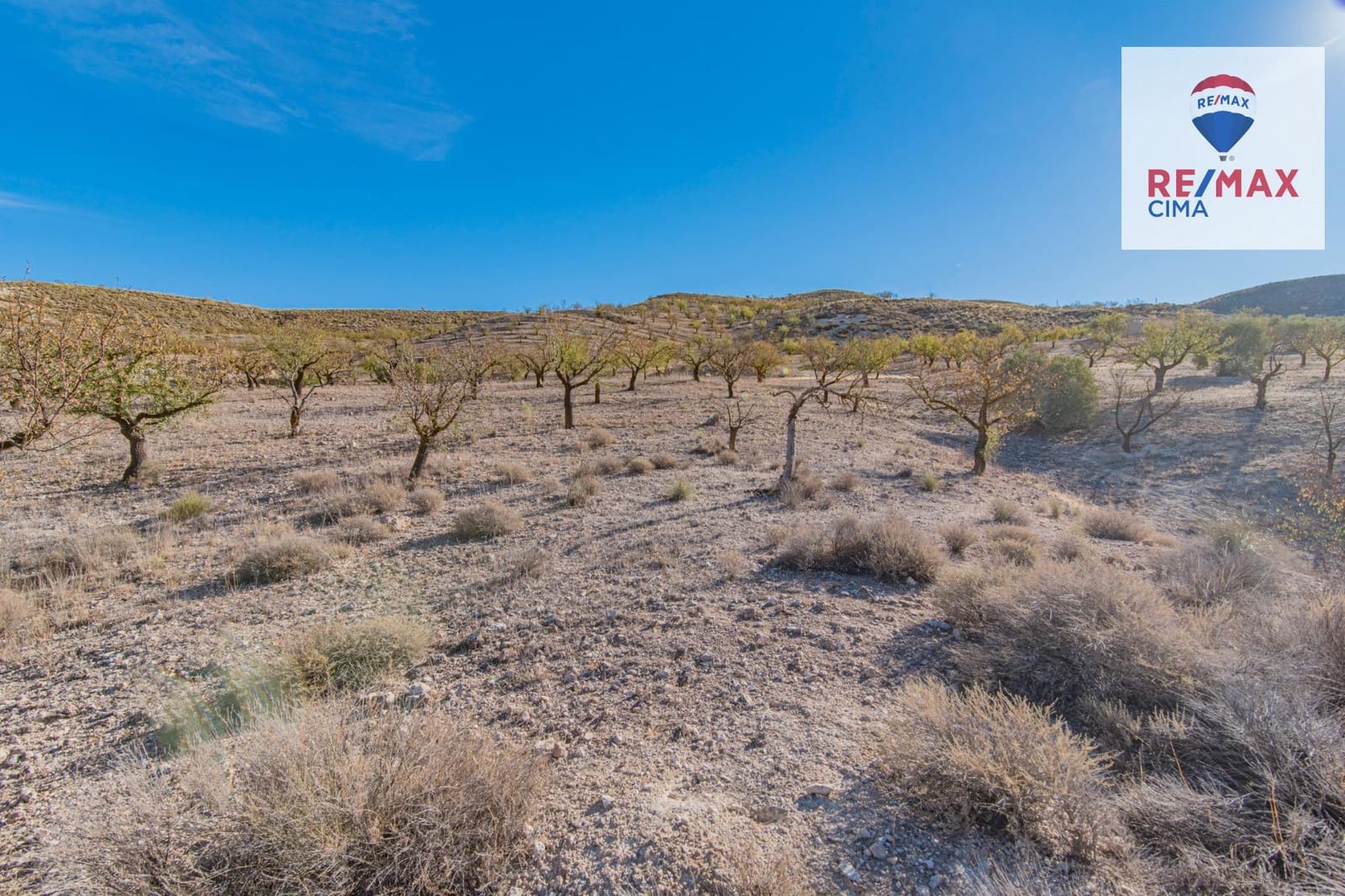 Undeveloped Land for sale in Alhama de Granada - € 69,000 (Ref: 8578155)