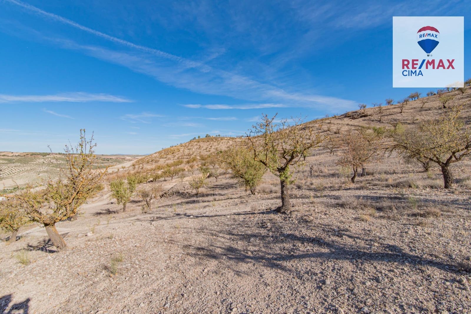 Undeveloped Land for sale in Alhama de Granada - € 69,000 (Ref: 8578155)