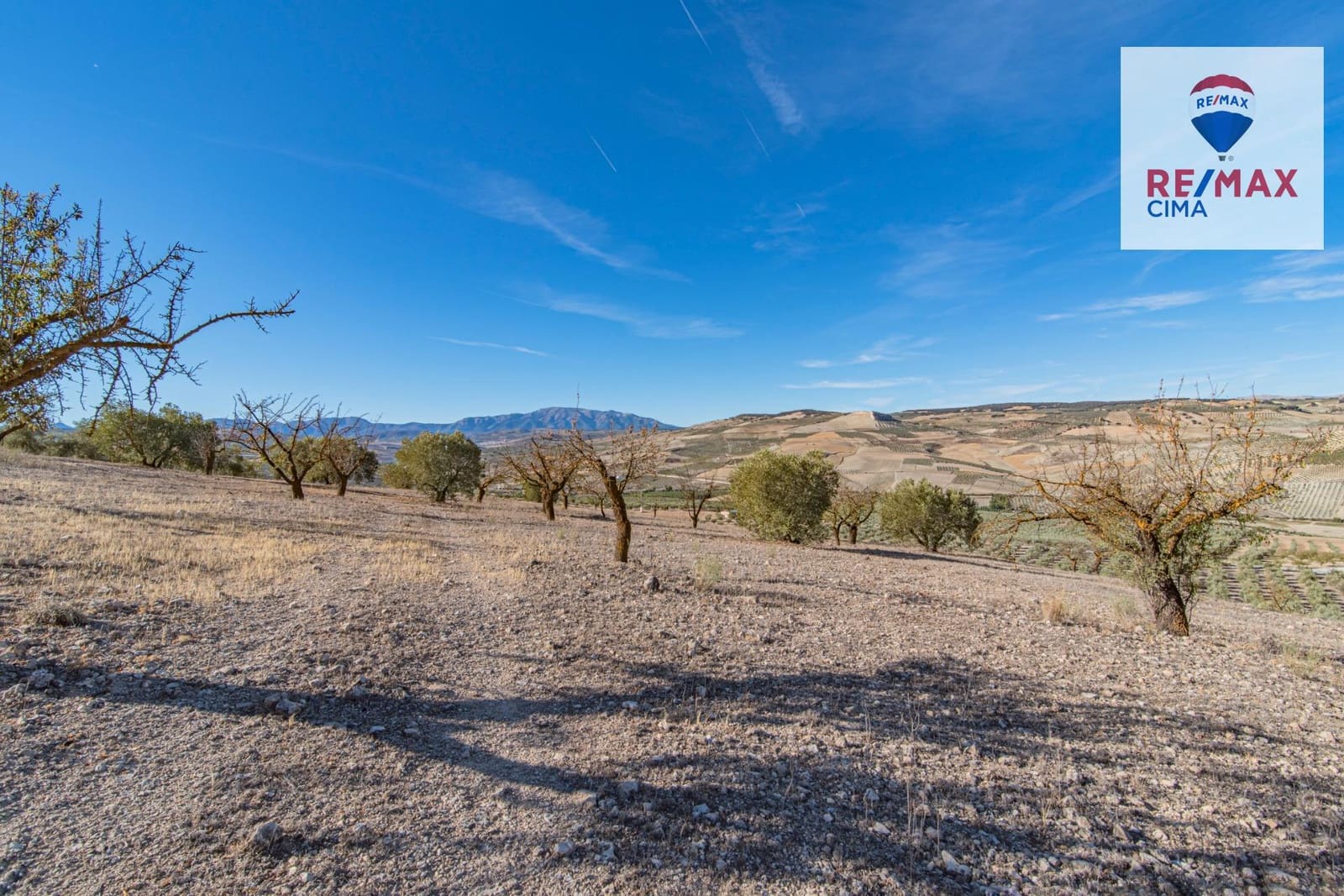 Undeveloped Land for sale in Alhama de Granada - € 69,000 (Ref: 8578155)