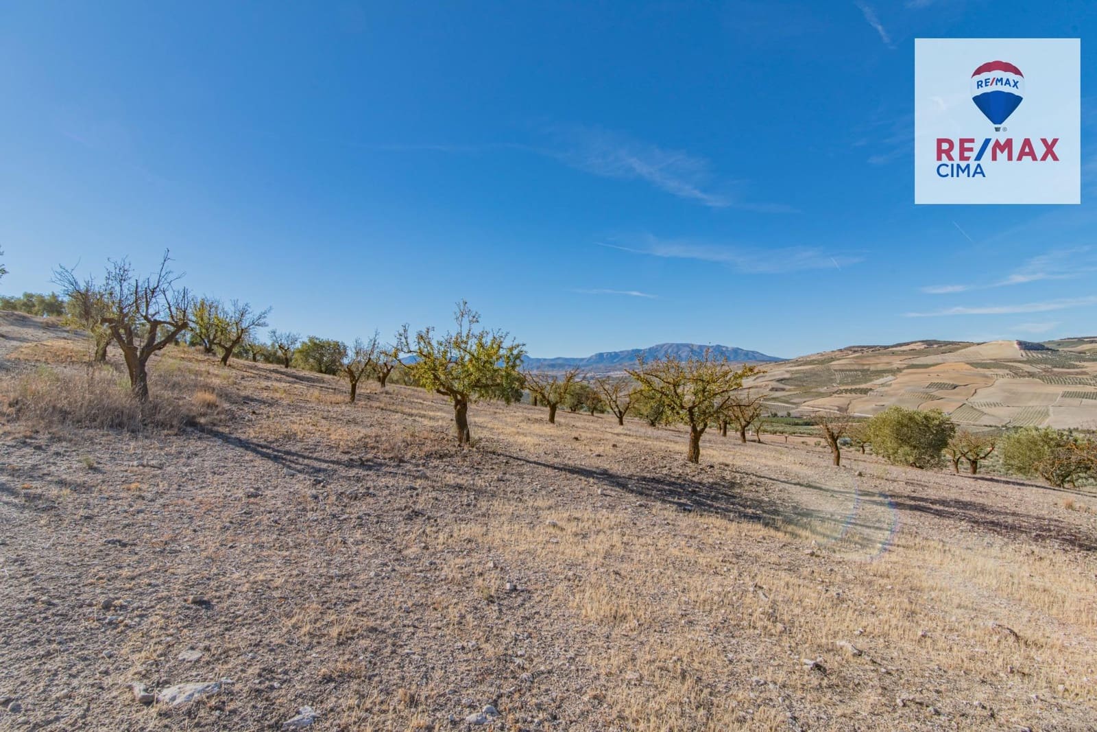 Undeveloped Land for sale in Alhama de Granada - € 69,000 (Ref: 8578155)