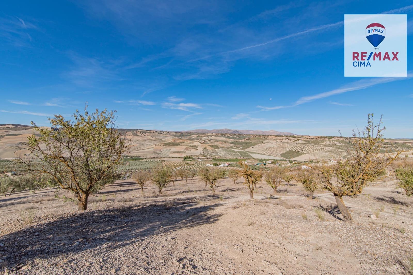 Undeveloped Land for sale in Alhama de Granada - € 69,000 (Ref: 8578155)