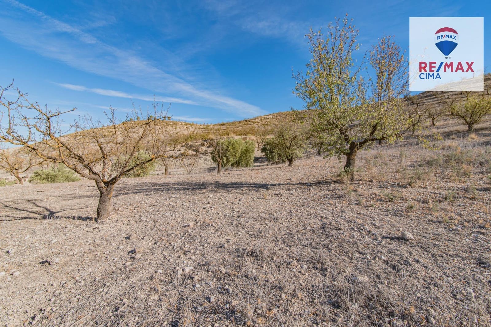 Undeveloped Land for sale in Alhama de Granada - € 69,000 (Ref: 8578155)