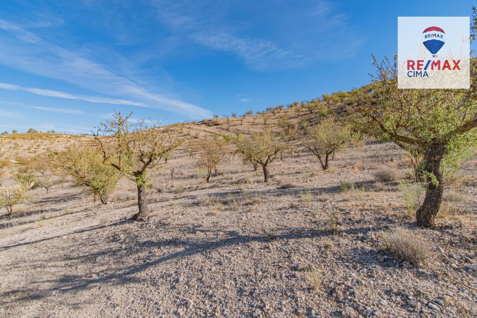 Undeveloped Land for sale in Alhama de Granada - € 69,000 (Ref: 8578155)