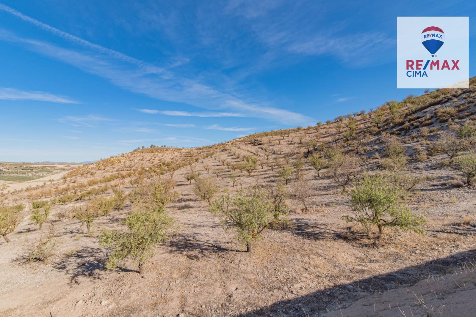 Undeveloped Land for sale in Alhama de Granada - € 69,000 (Ref: 8578155)
