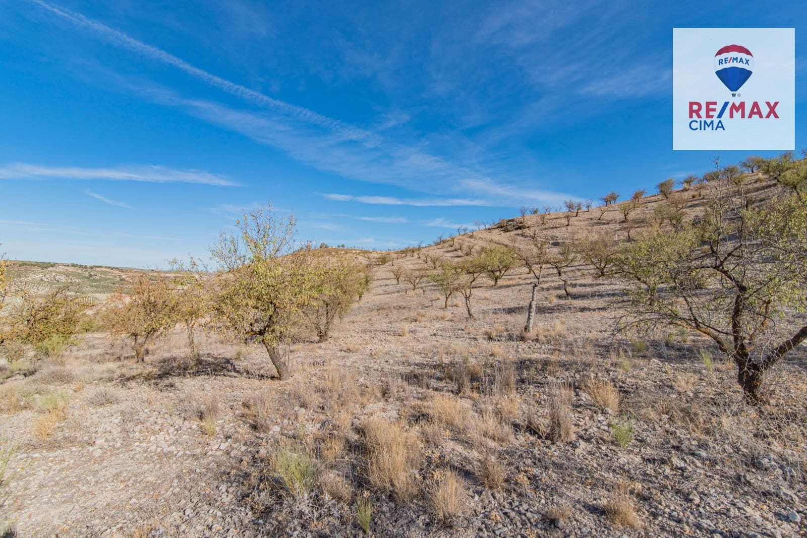 Undeveloped Land for sale in Alhama de Granada - € 69,000 (Ref: 8578155)