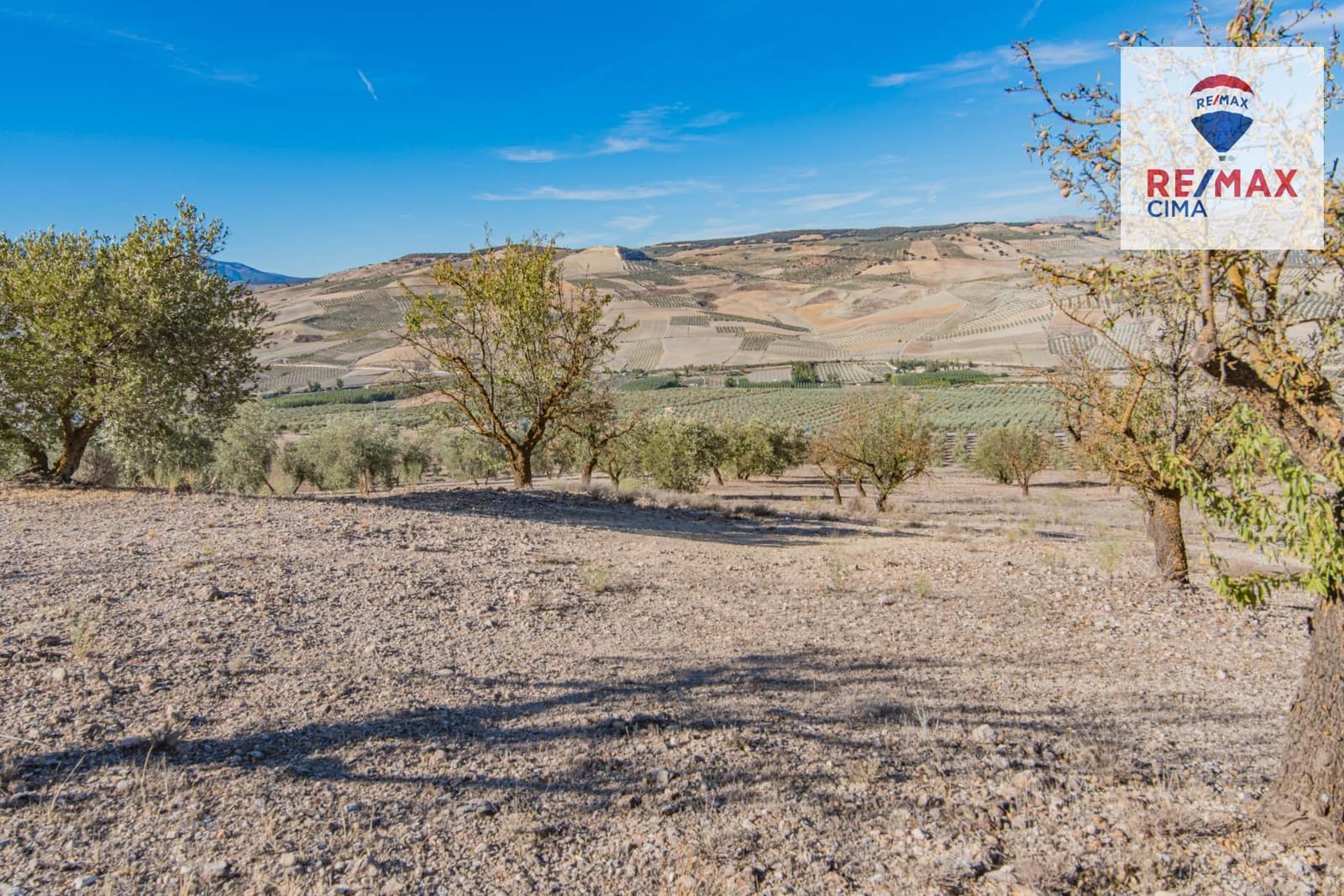 Undeveloped Land for sale in Alhama de Granada - € 69,000 (Ref: 8578155)