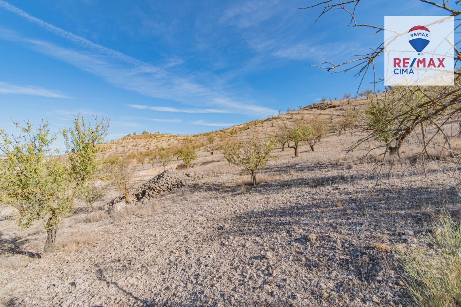 Undeveloped Land for sale in Alhama de Granada - € 69,000 (Ref: 8578155)