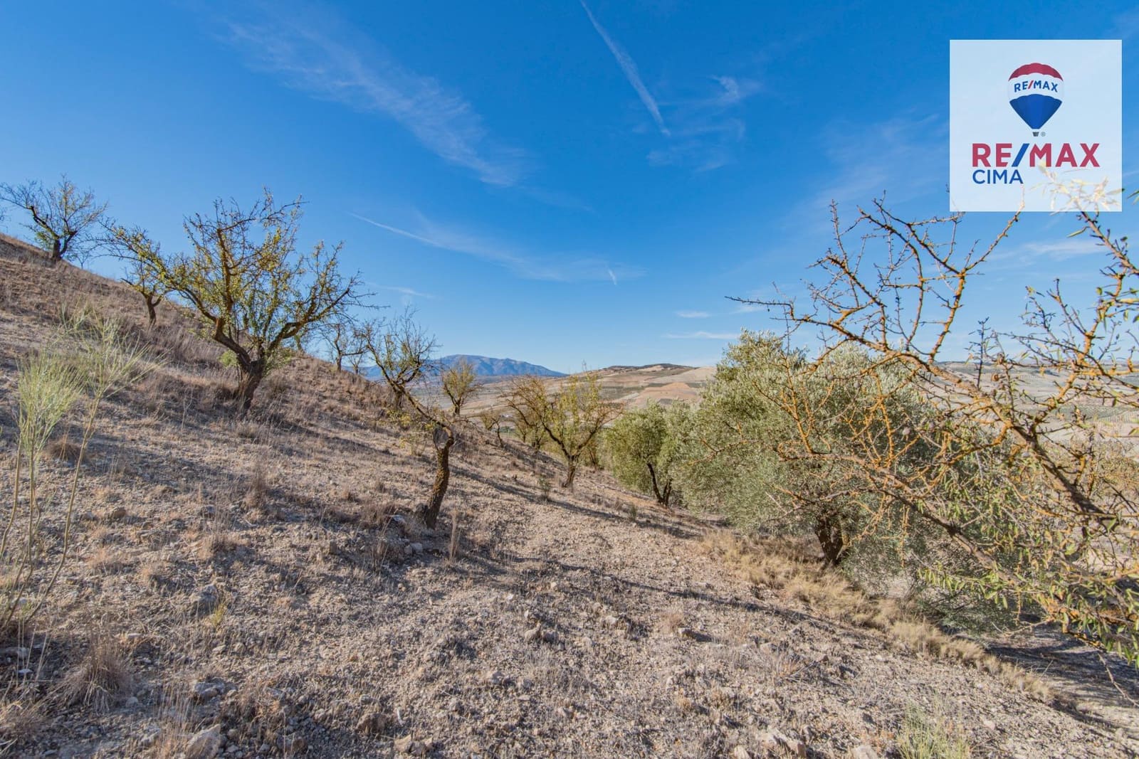 Undeveloped Land for sale in Alhama de Granada - € 69,000 (Ref: 8578155)