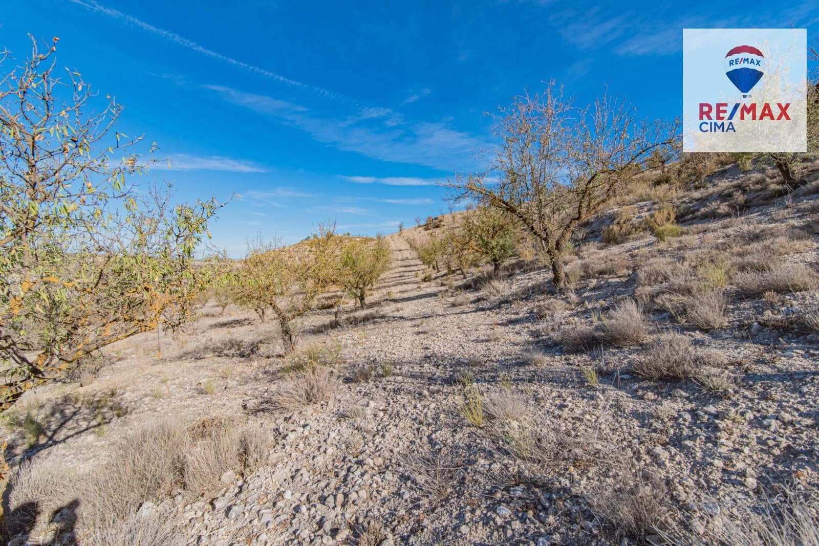 Undeveloped Land for sale in Alhama de Granada - € 69,000 (Ref: 8578155)