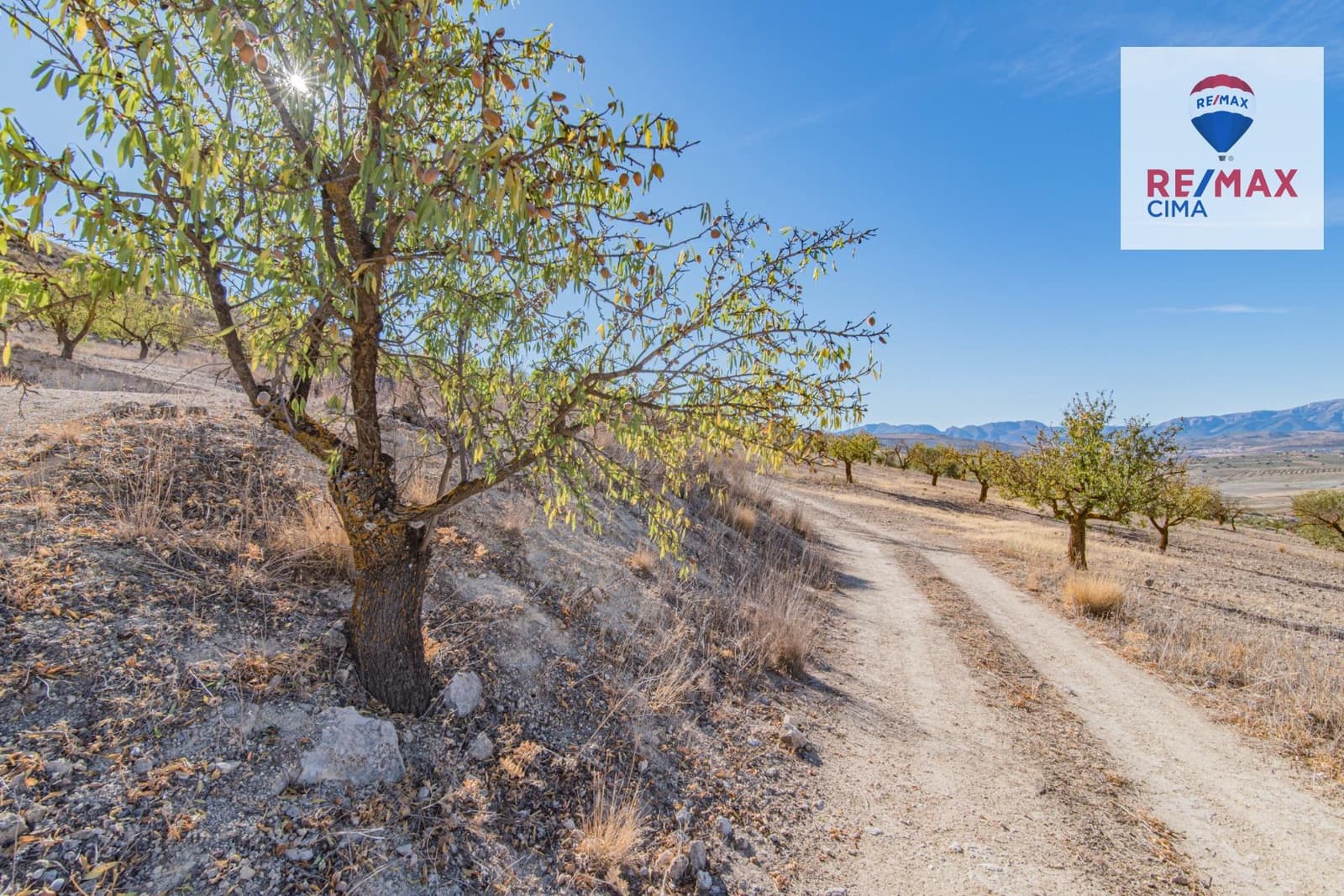 Undeveloped Land for sale in Alhama de Granada - € 69,000 (Ref: 8578155)