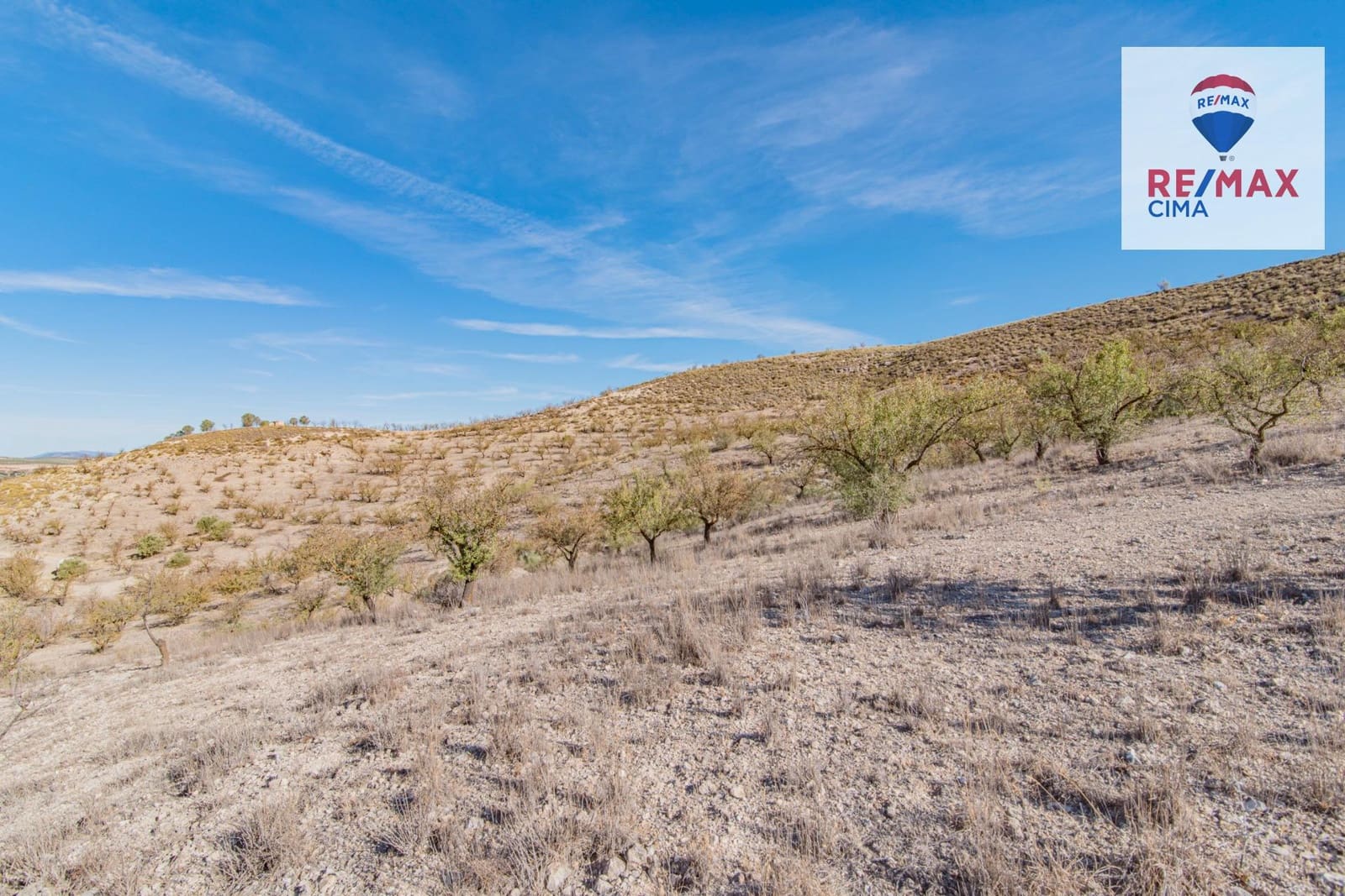 Undeveloped Land for sale in Alhama de Granada - € 69,000 (Ref: 8578155)