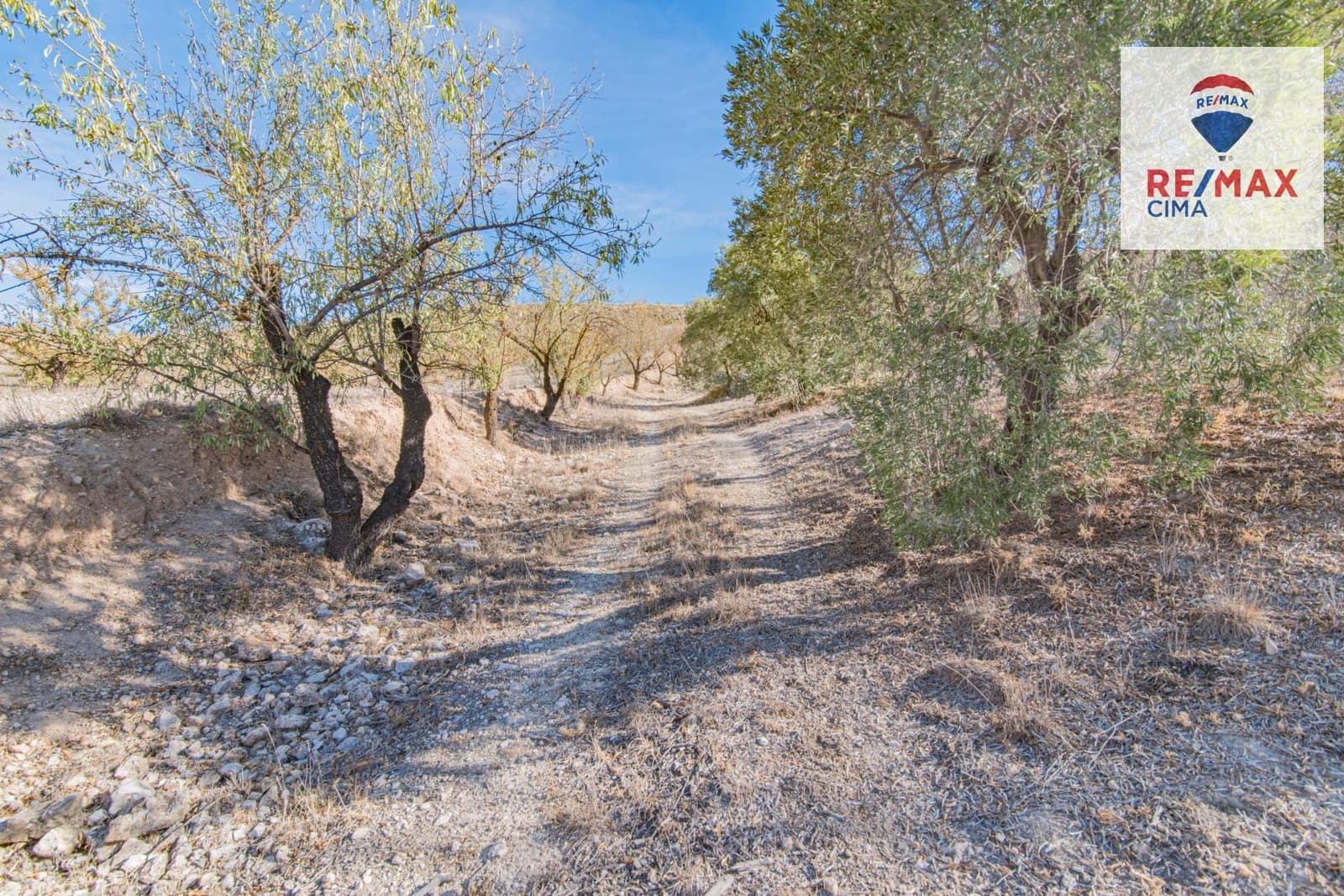 Undeveloped Land for sale in Alhama de Granada - € 69,000 (Ref: 8578155)