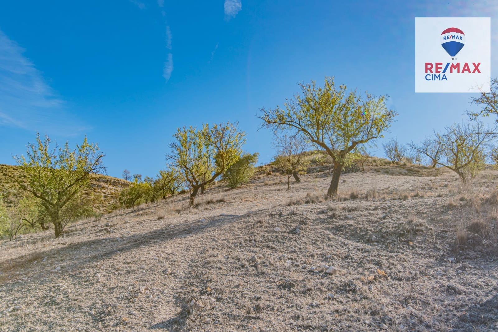 Undeveloped Land for sale in Alhama de Granada - € 69,000 (Ref: 8578155)