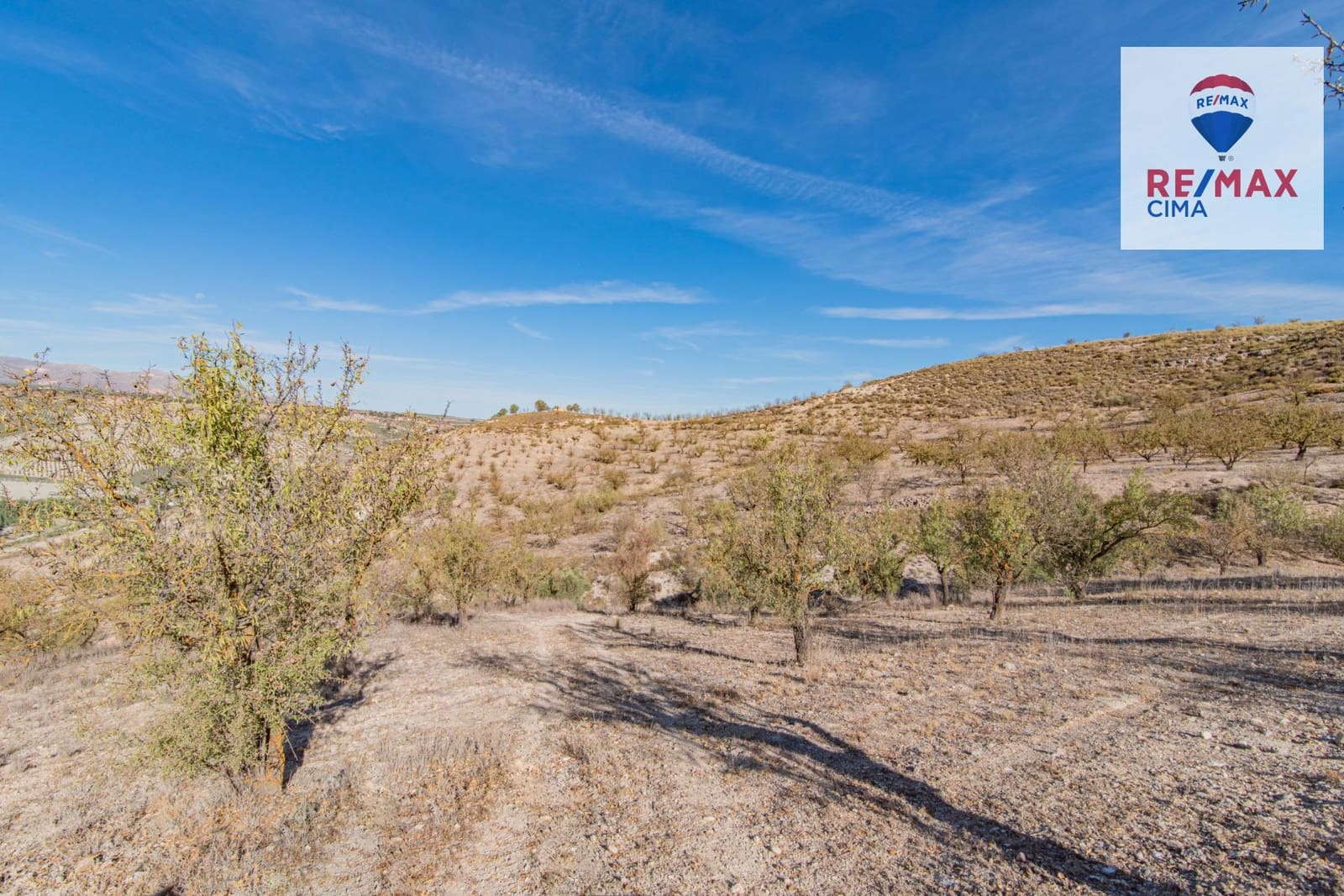 Undeveloped Land for sale in Alhama de Granada - € 69,000 (Ref: 8578155)