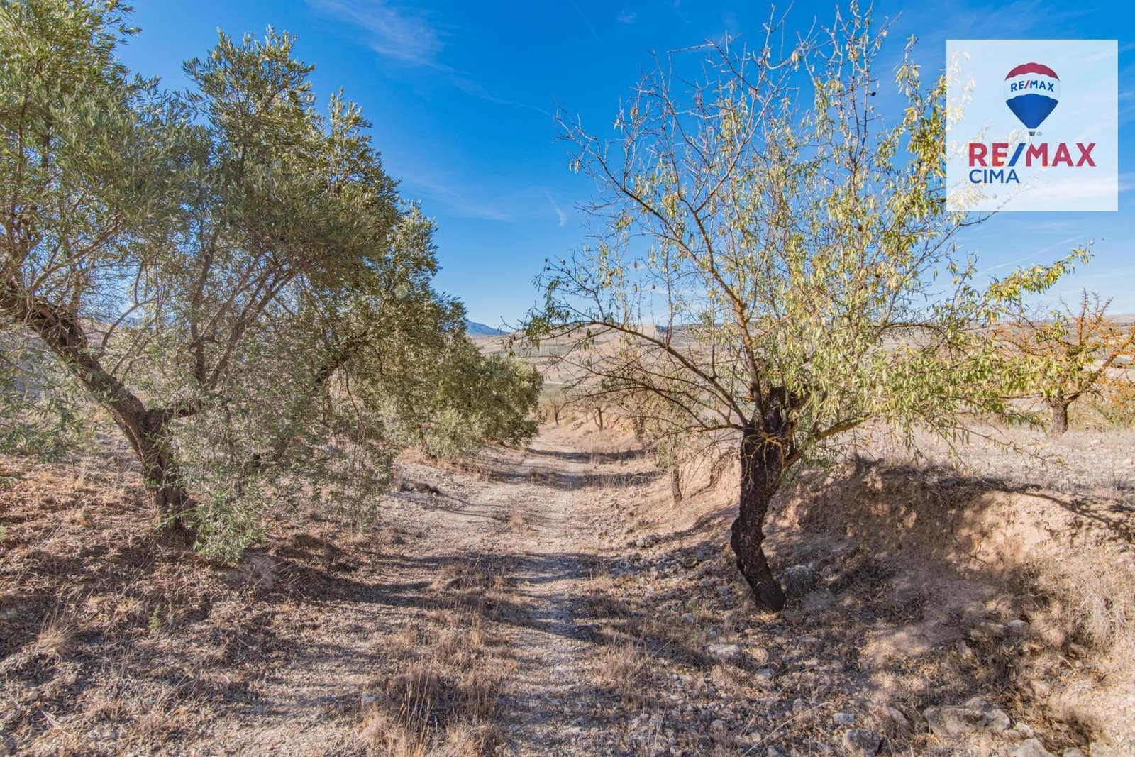 Undeveloped Land for sale in Alhama de Granada - € 69,000 (Ref: 8578155)