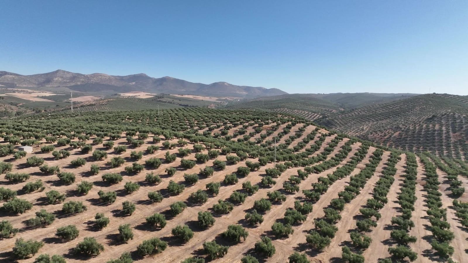 Undeveloped Land for sale in Albolote - € 1,225,000 (Ref: 8625116)