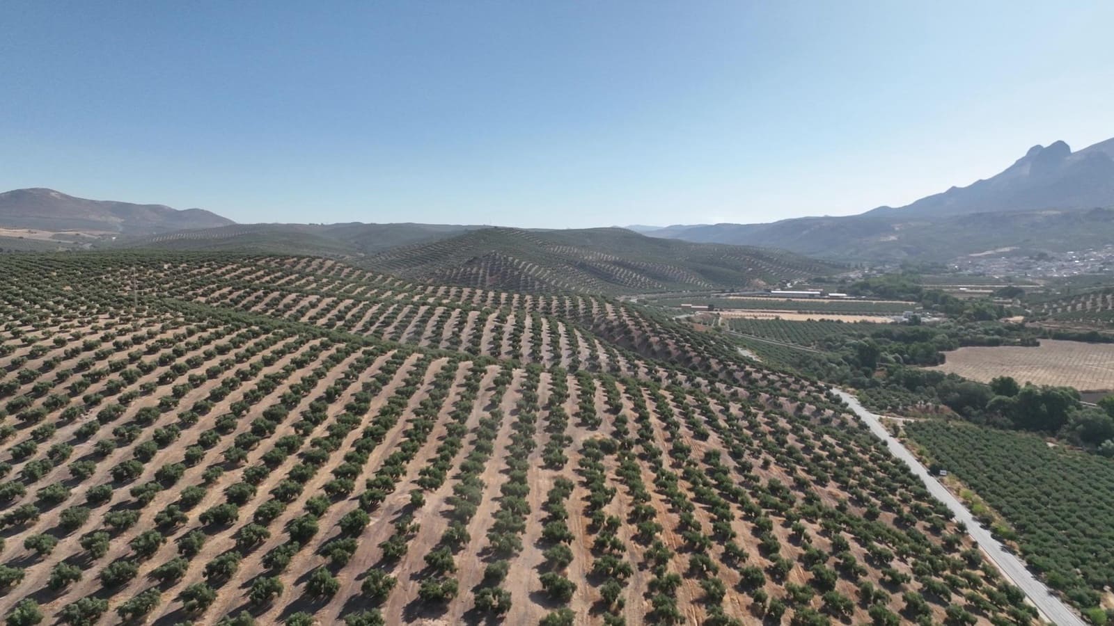 Undeveloped Land for sale in Albolote - € 1,225,000 (Ref: 8625116)