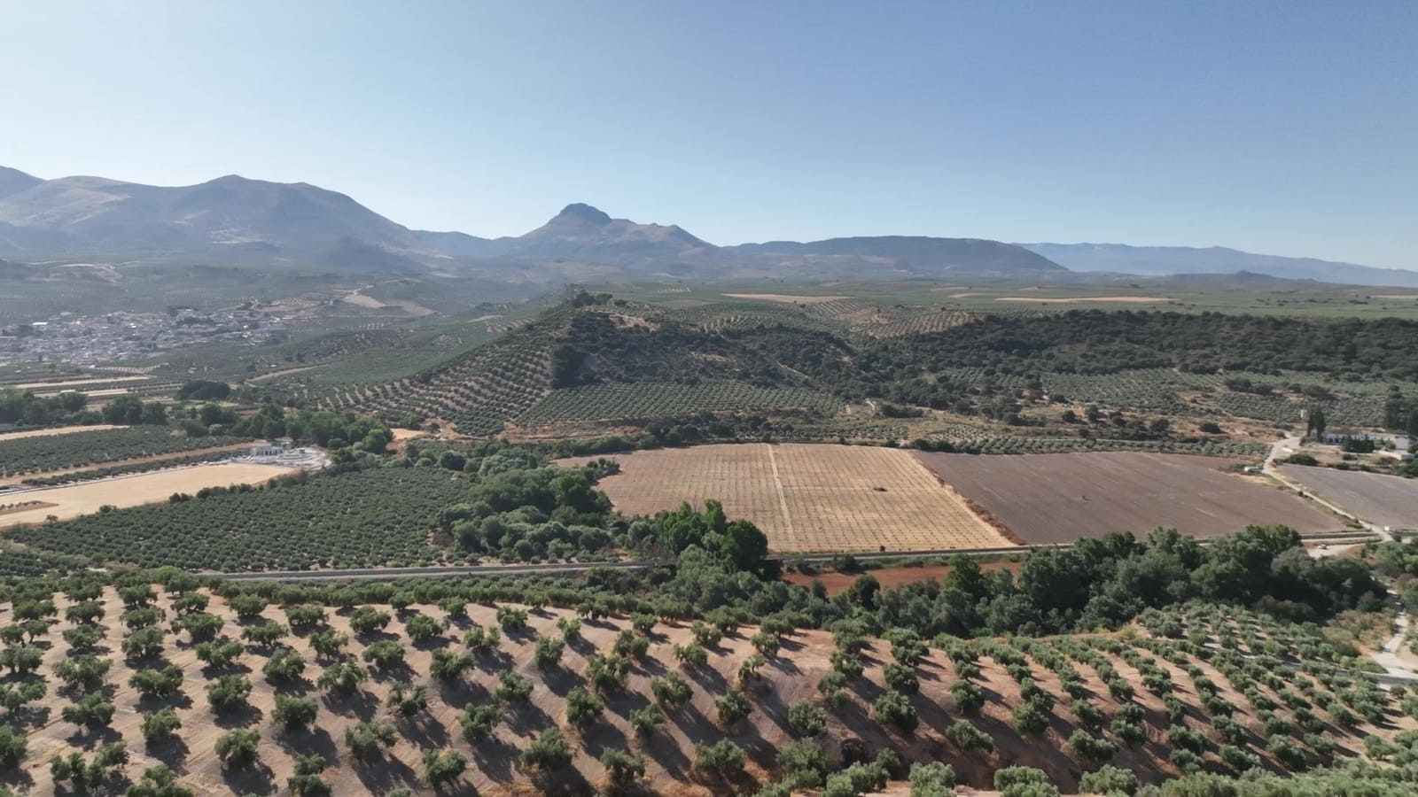 Undeveloped Land for sale in Albolote - € 1,225,000 (Ref: 8625116)