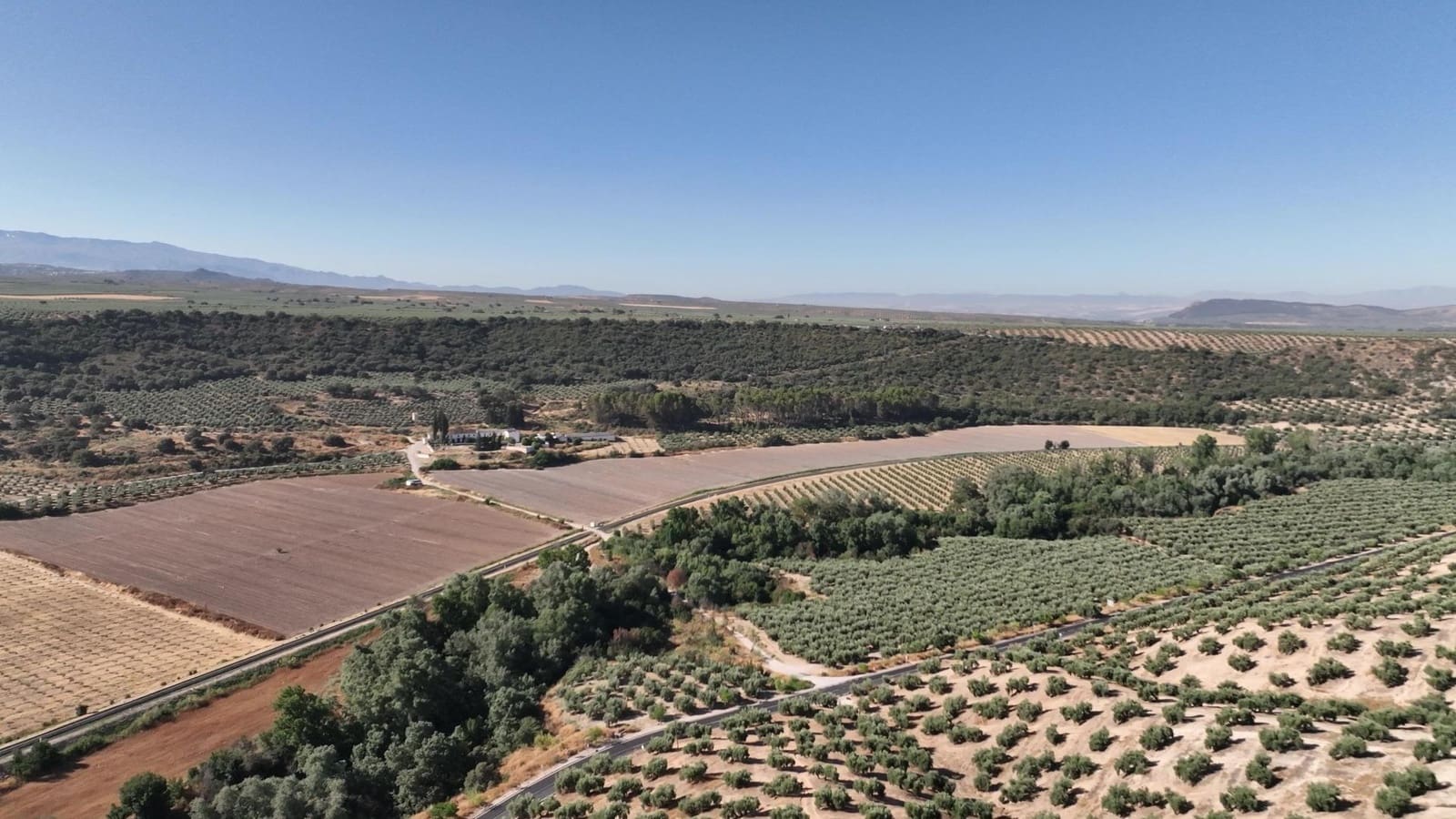 Undeveloped Land for sale in Albolote - € 1,225,000 (Ref: 8625116)