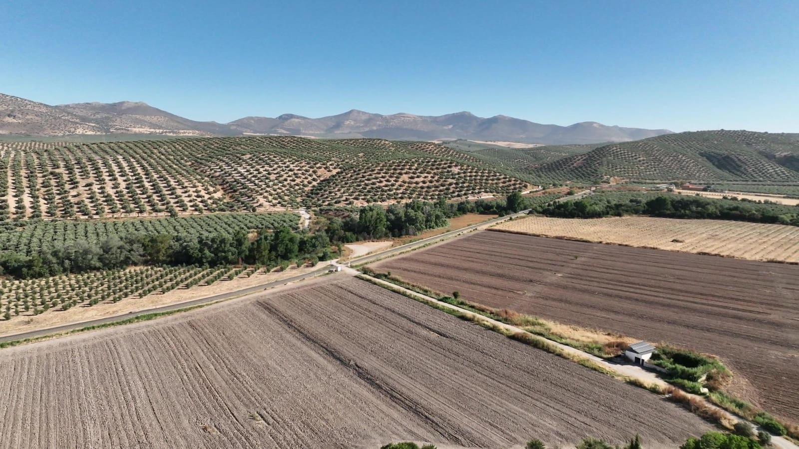 Undeveloped Land for sale in Albolote - € 1,225,000 (Ref: 8625116)