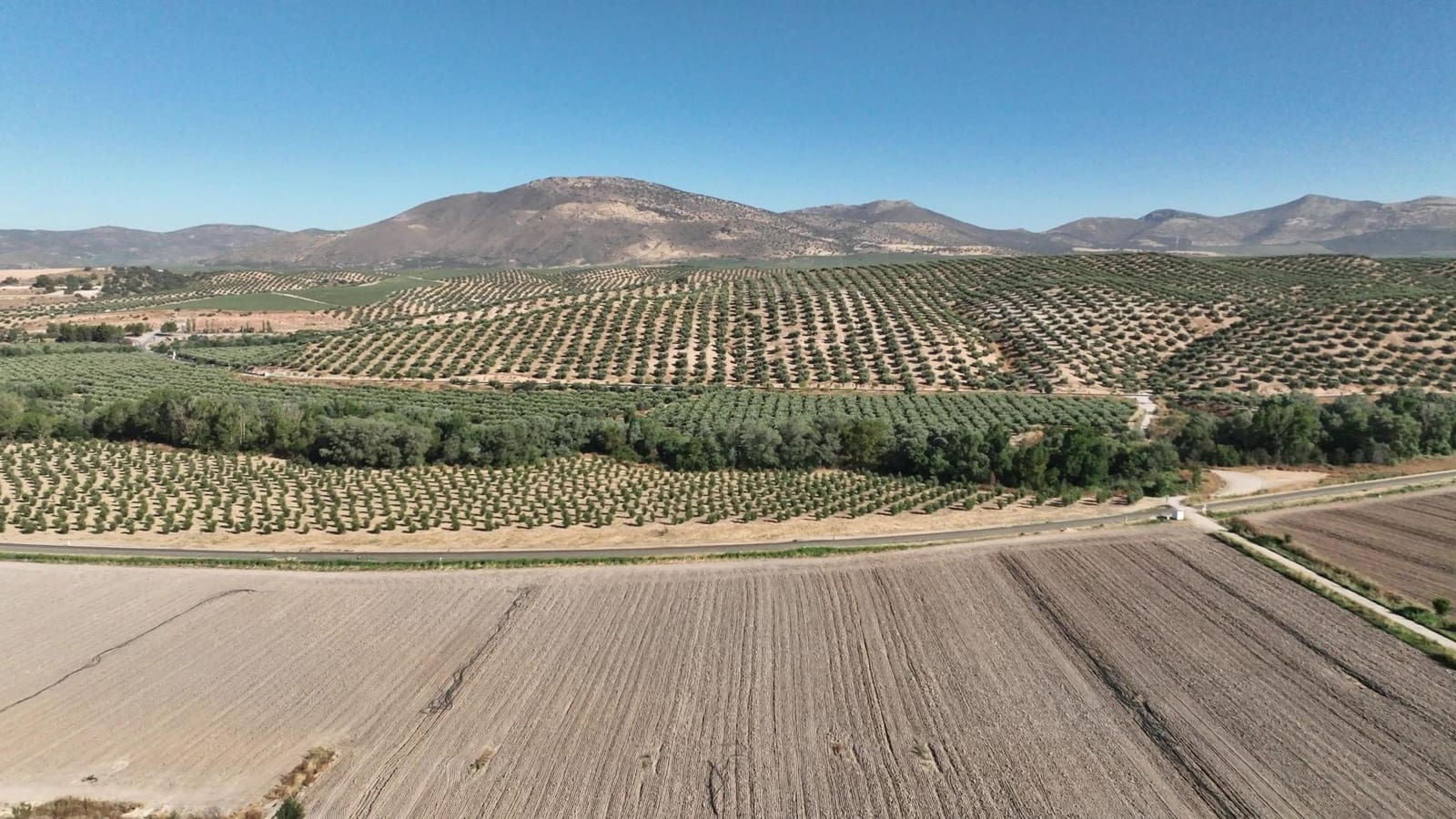 Undeveloped Land for sale in Albolote - € 1,225,000 (Ref: 8625116)