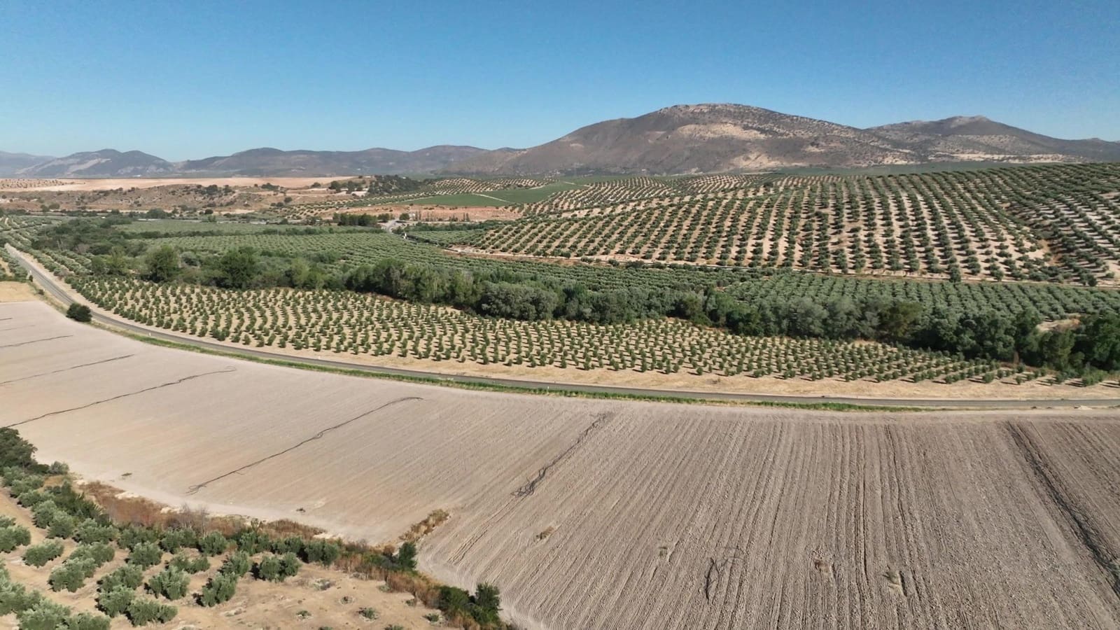 Undeveloped Land for sale in Albolote - € 1,225,000 (Ref: 8625116)