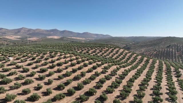 Undeveloped Land for sale in Albolote - € 1,225,000 (Ref: 8625116)