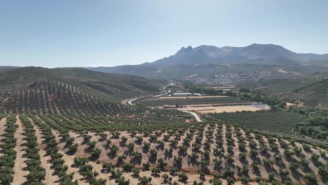 Undeveloped Land for sale in Albolote - € 1,225,000 (Ref: 8625116)