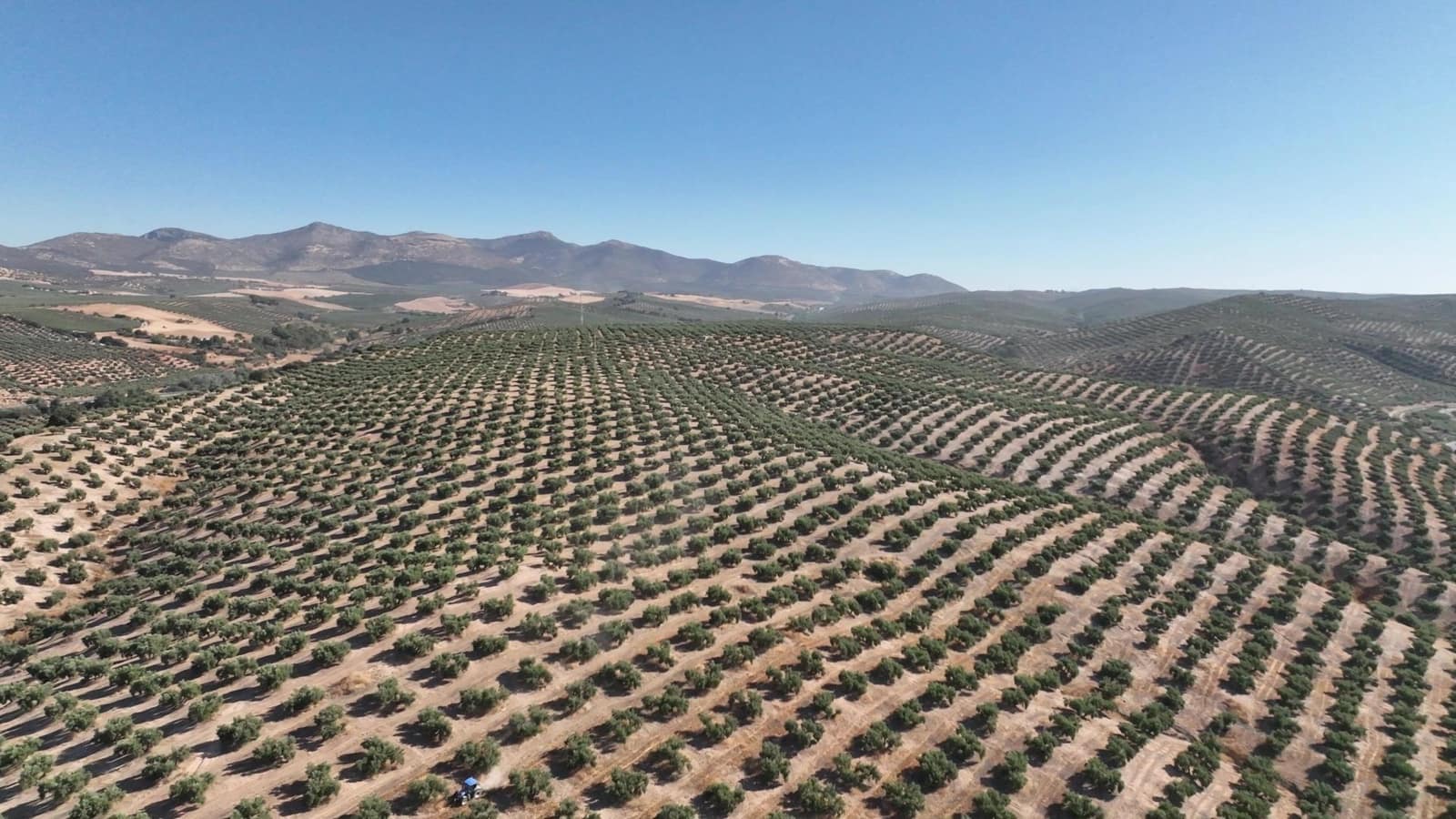 Terreno Não Urbanizado para venda em Albolote - 1 225 000 € (Ref: 8625116)