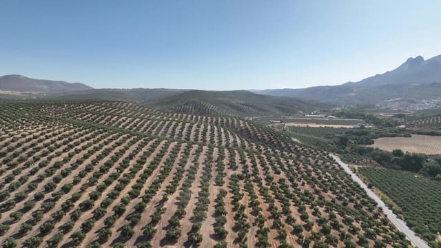 Grunde uden byggetilladelser til salg i Albolote - € 1.225.000 (Ref: 8625116)