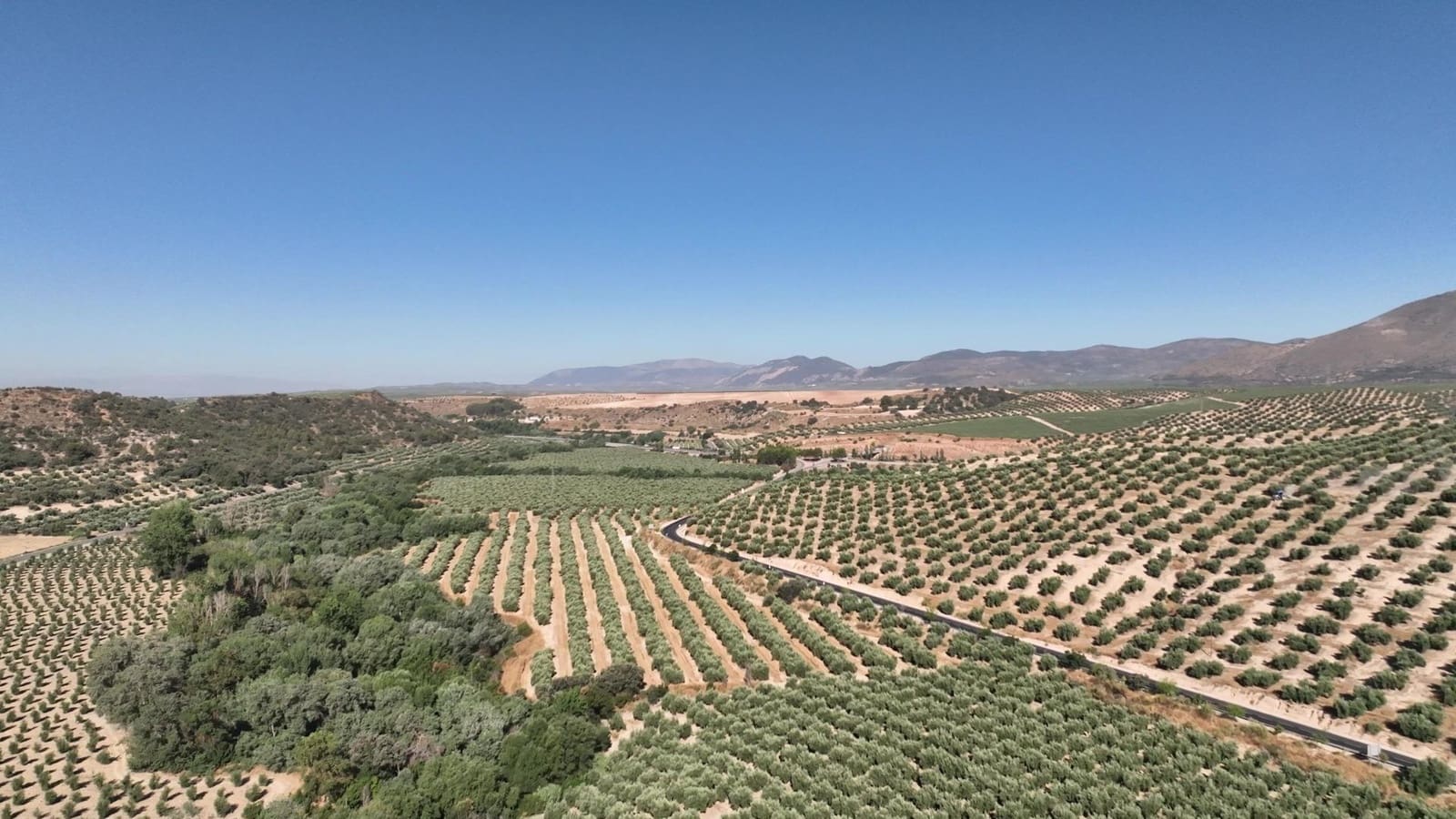 Undeveloped Land for sale in Albolote - € 1,250,000 (Ref: 8625116)