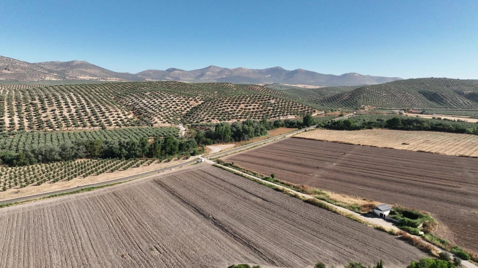 Undeveloped Land for sale in Albolote - € 1,250,000 (Ref: 8625116)